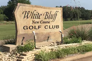 32030 Dove Trail, Whitney, TX 76692 - Photo 1