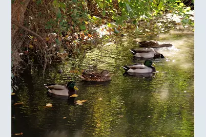 14277 Preston Road #923, Dallas, TX 75254 - Photo 14