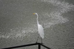 14277 Preston Rd, Dallas, TX 75254 - Photo 36