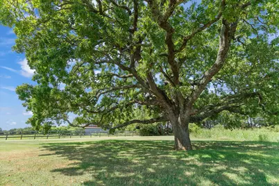 600 Vz County Road 3528, Wills Point, TX 75169 - Photo 2