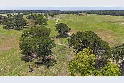 313 Vz County Road 3910, Wills Point, TX 75169 - Photo 36