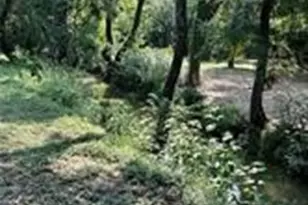 413 Travis Dr, McGregor, TX 76657 - Photo 38