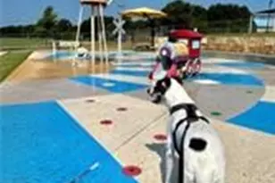 413 Travis Dr, McGregor, TX 76657 - Photo 40