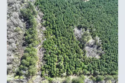 5 United Gas Road 1, Rodessa, LA 71069 - Photo 4