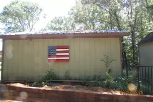 10878 FM 19, Frankston, TX 75763 - Photo 14