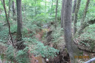 10878 FM 19, Frankston, TX 75763 - Photo 20