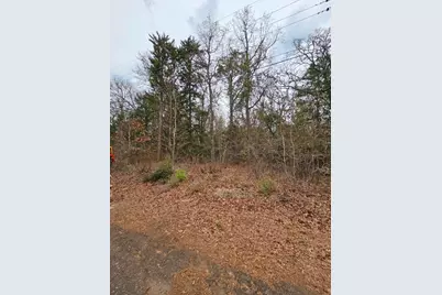 239 Briar Valley Dr, Murchison, TX 75778 - Photo 14