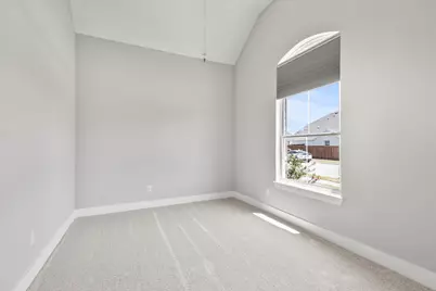 1509 Windflower Drive, Aubrey, TX 76227 - Photo 10