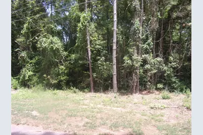 232 Sunny Ridge, Murchison, TX 75778 - Photo 1