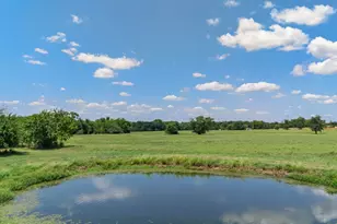 47 Acres Farm Market 275, Cumby, TX 75433 - Photo 1