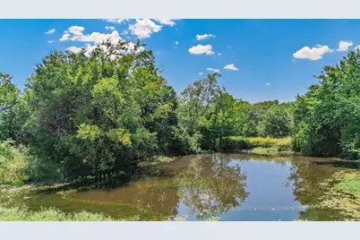 47 Acres Farm Market 275, Cumby, TX 75433 - Photo 6