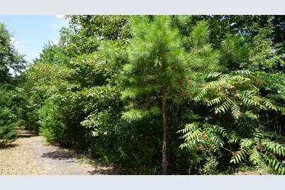 Tbd Private Road 7907, Hawkins, TX 75765 - Photo 14