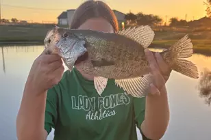 4474 FM 6, Caddo Mills, TX 75135 - Photo 30