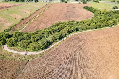 9964 State Highway 171, Covington, TX 76636 - Photo 8