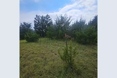 4840 Cr-1098, Celeste, TX 75423 - Photo 20