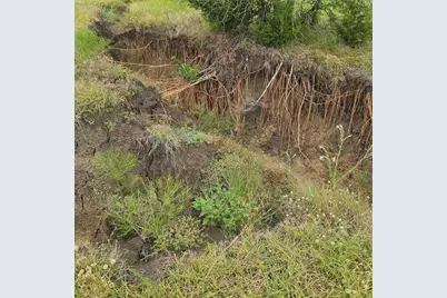 4840 Cr-1098, Celeste, TX 75423 - Photo 10