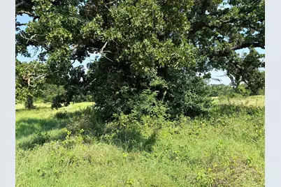 3634 County Road 401B, Alvarado, TX 76009 - Photo 2