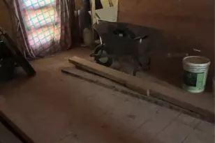 2803 Grafton Ave, Dallas, TX 75211 - Photo 2