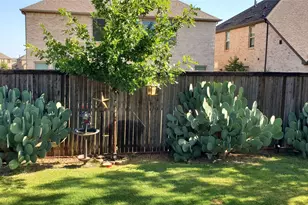 6225 Kent Ln, Celina, TX 76227 - Photo 24