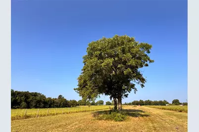 Tbd Fm 513, East Tawakoni, TX 75472 - Photo 12