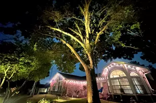 322 Allegheny Trail Ln, Garland, TX 75043 - Photo 6