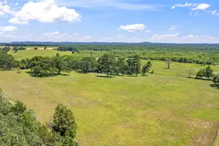 12250 Co Rd 3513, Brownsboro, TX 75756 - Photo 14