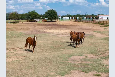 510 Prestonwood Polo Drive, Oak Point, TX 75068 - Photo 22