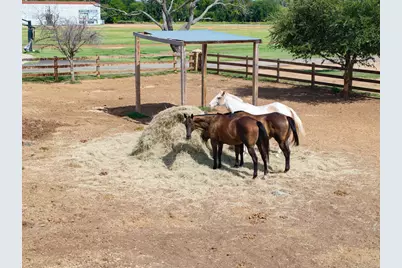 510 Prestonwood Polo Drive, Oak Point, TX 75068 - Photo 14