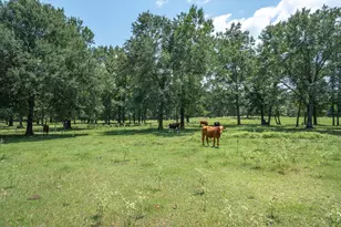 2063 Rs County Road 2370 Rd, Alba, TX 75410 - Photo 40