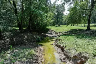 2063 Rs County Road 2370 Rd, Alba, TX 75410 - Photo 36