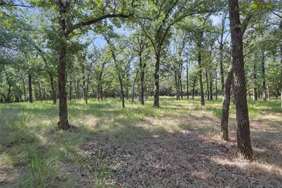 694 Boling Ranch Road, Azle, TX 76020 - Photo 38