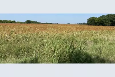 450 County Road 16060, Deport, TX 75435 - Photo 2