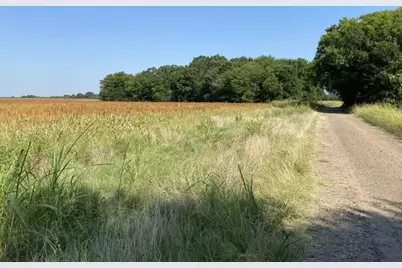 450 County Road 16060, Deport, TX 75435 - Photo 4