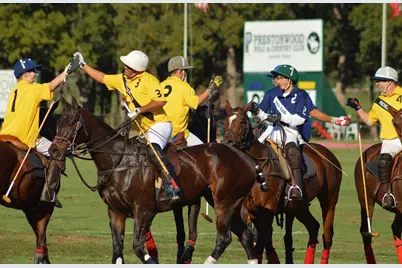 521 Martingale Trail, Oak Point, TX 75068 - Photo 16