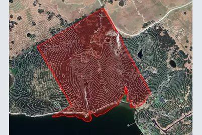 Tract 1 SE County Road 3230, Kerens, TX 75144 - Photo 2