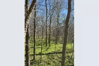 Tract 1 SE County Road 3230, Kerens, TX 75144 - Photo 12