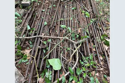 147 Golden Oaks Drive, Mabank, TX 75156 - Photo 18