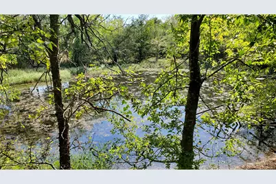 1225 Magnolia Mound, Kemp, TX 75143 - Photo 10