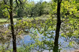 1225 Magnolia Mound, Kemp, TX 75143 - Photo 10