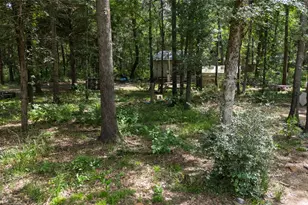 14313 Fm 645, Palestine, TX 75803 - Photo 4