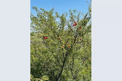 Tract 13-Tbd Fm-677, Saint Jo, TX 76265 - Photo 8