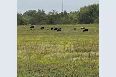 Tract 13-Tbd Fm-677, Saint Jo, TX 76265 - Photo 10