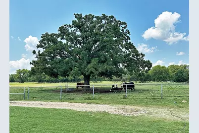 10466 Fm 3273, Athens, TX 75751 - Photo 22