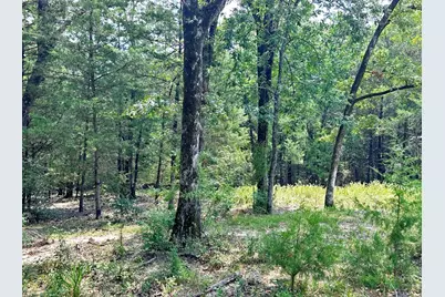 10466 Fm 3273, Athens, TX 75751 - Photo 16