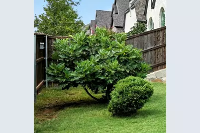 1101 Claiborne Drive, Aubrey, TX 76227 - Photo 36