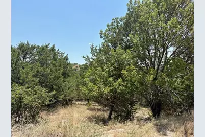 Lot 246 Broadmoor Court, Possum Kingdom Lake, TX 76449 - Photo 6