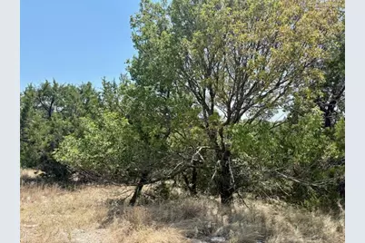 Lot 246 Broadmoor Court, Possum Kingdom Lake, TX 76449 - Photo 8