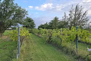 812 Ebenezer Rd, Palmer, TX 75152 - Photo 20