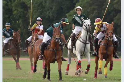 500 Prestonwood Polo Drive, Oak Point, TX 75068 - Photo 30