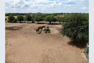 500 Prestonwood Polo Drive, Oak Point, TX 75068 - Photo 6